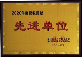 2020年度稅收貢獻(xiàn)先進(jìn)單位